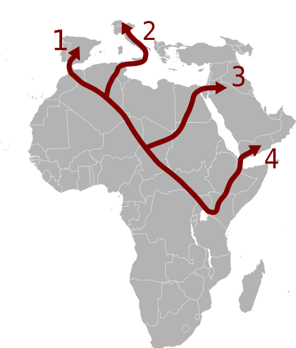 Africa road5.svg