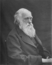 1878 Darwin photo by Leonard from Woodall 1884 - cropped grayed partially cleaned.jpg