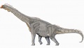 1280px-Brachiosaurus DB.jpg