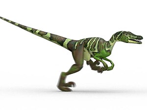 Velociraptor1.jpg